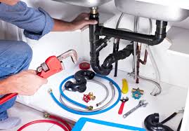 Best Plumbing System Maintenance  in Genola, UT